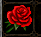 rosa25.png