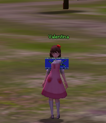 valentinav26.png